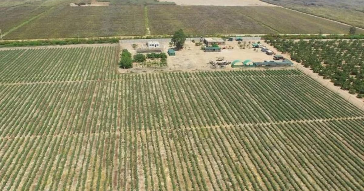 Terreno en venta en Cañete, Lima