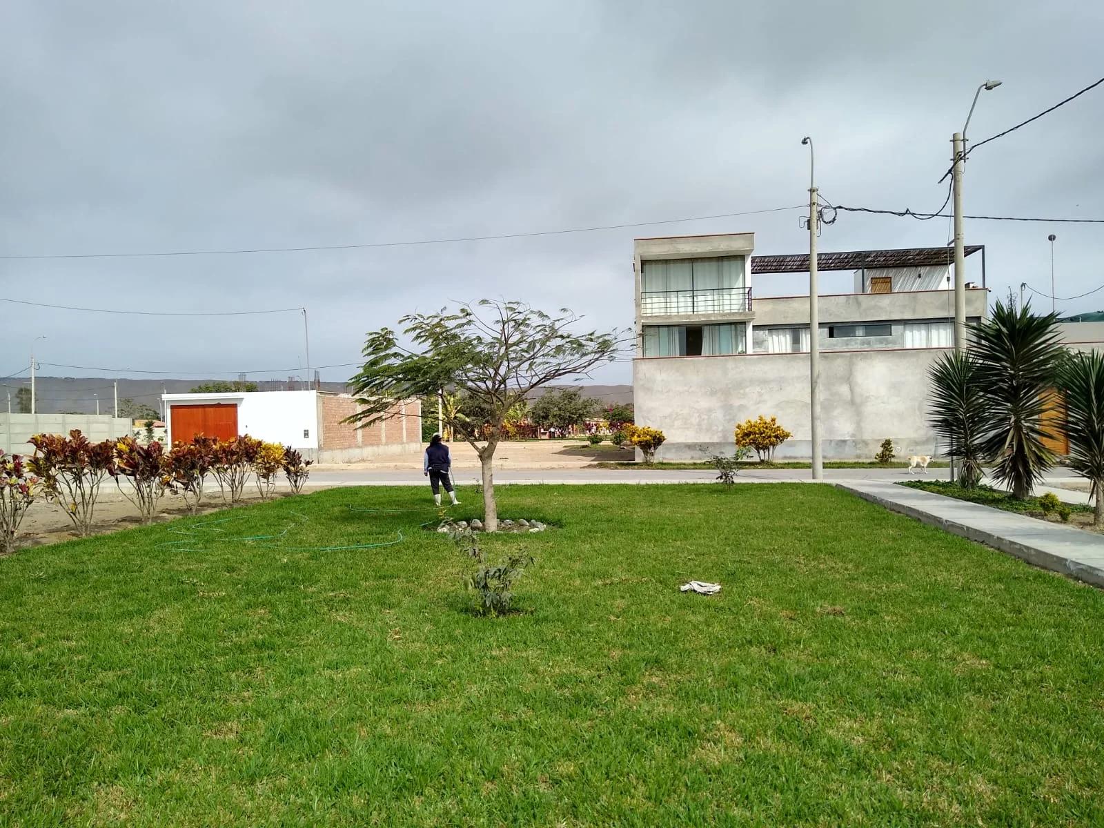 Imagen 25