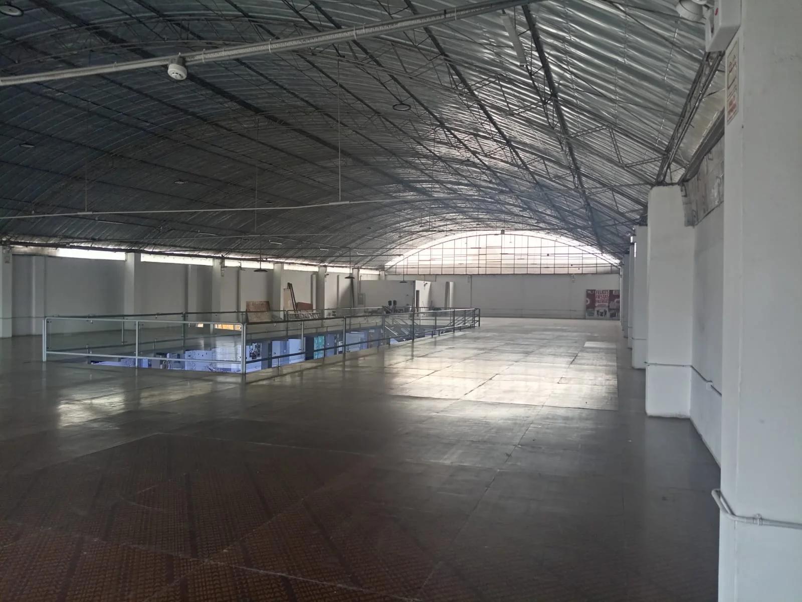 Imagen 10