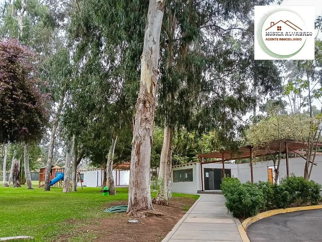 Imagen 9
