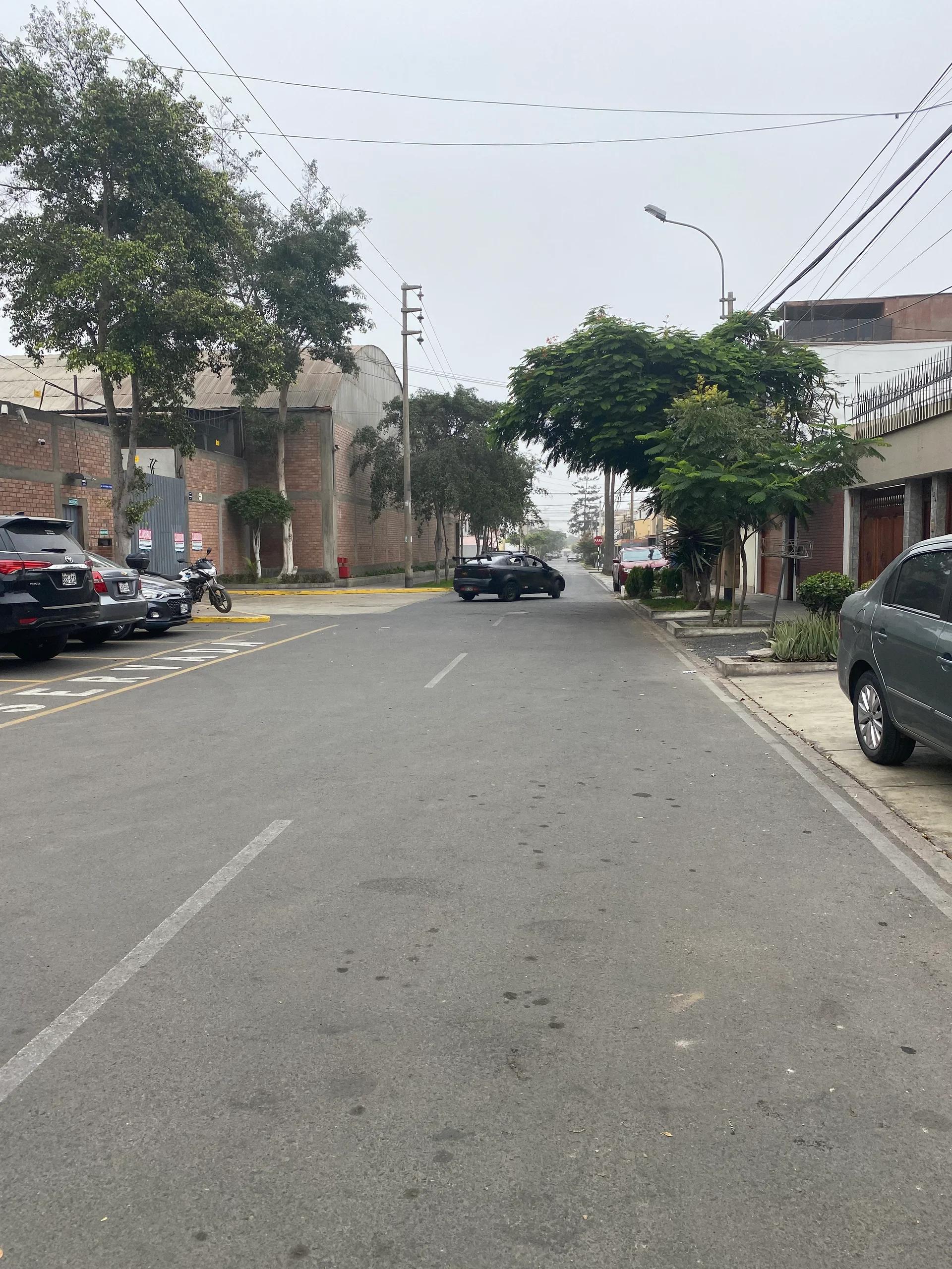 Imagen 6