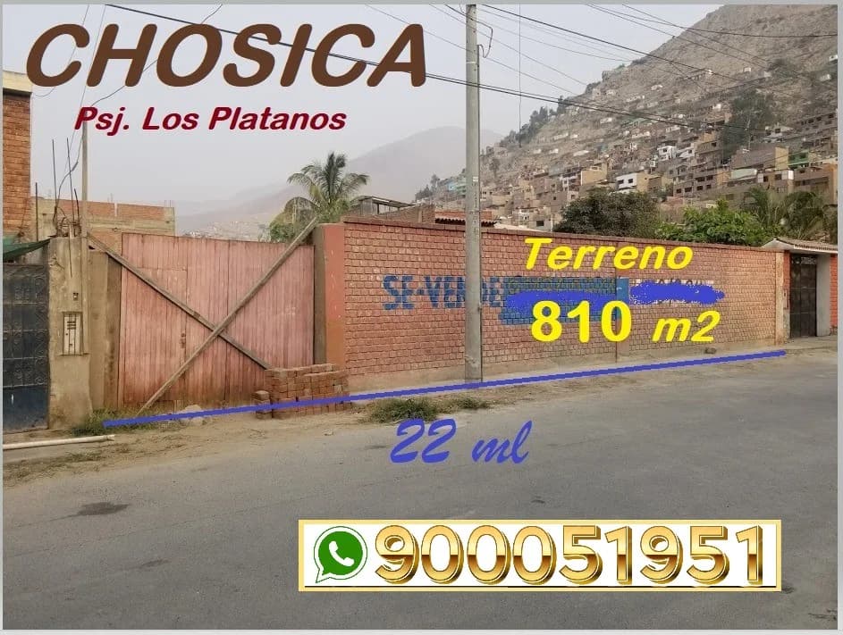 𝐓𝐄𝐑𝐑𝐄𝐍𝐎 𝐄𝐍 𝐂𝐇𝐎𝐒𝐈𝐂𝐀-𝐋𝐔𝐑𝐈𝐆𝐀𝐍𝐂𝐇𝐎 𝐋𝐎𝐒 𝐏𝐋𝐀𝐓𝐀𝐍𝐎𝐒