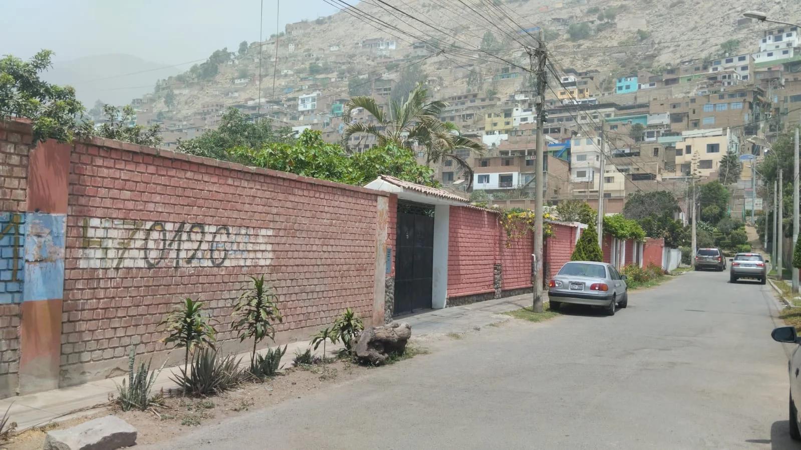 Imagen 2