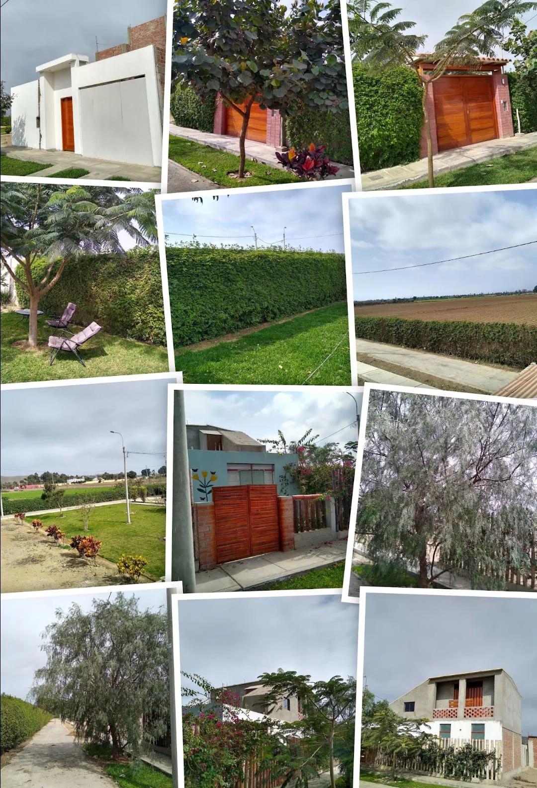 Imagen 5