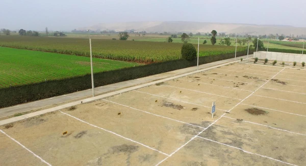 ATENCIÓN! ULTIMOS LOTES CON VISTAS AL CAMPO NO PIERDAS LA OCASIÓN