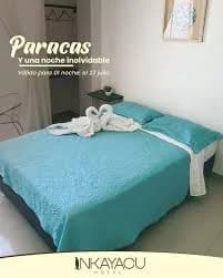 Imagen 13