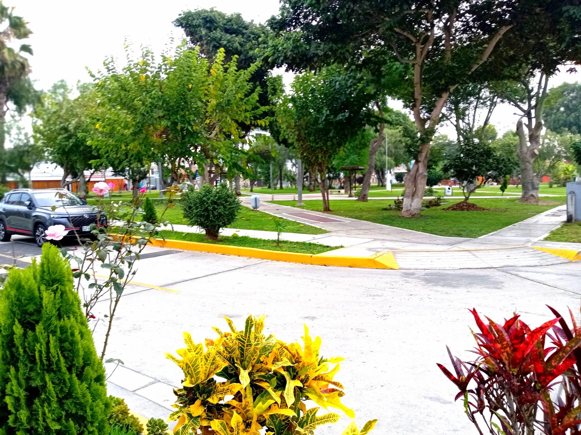Imagen 6