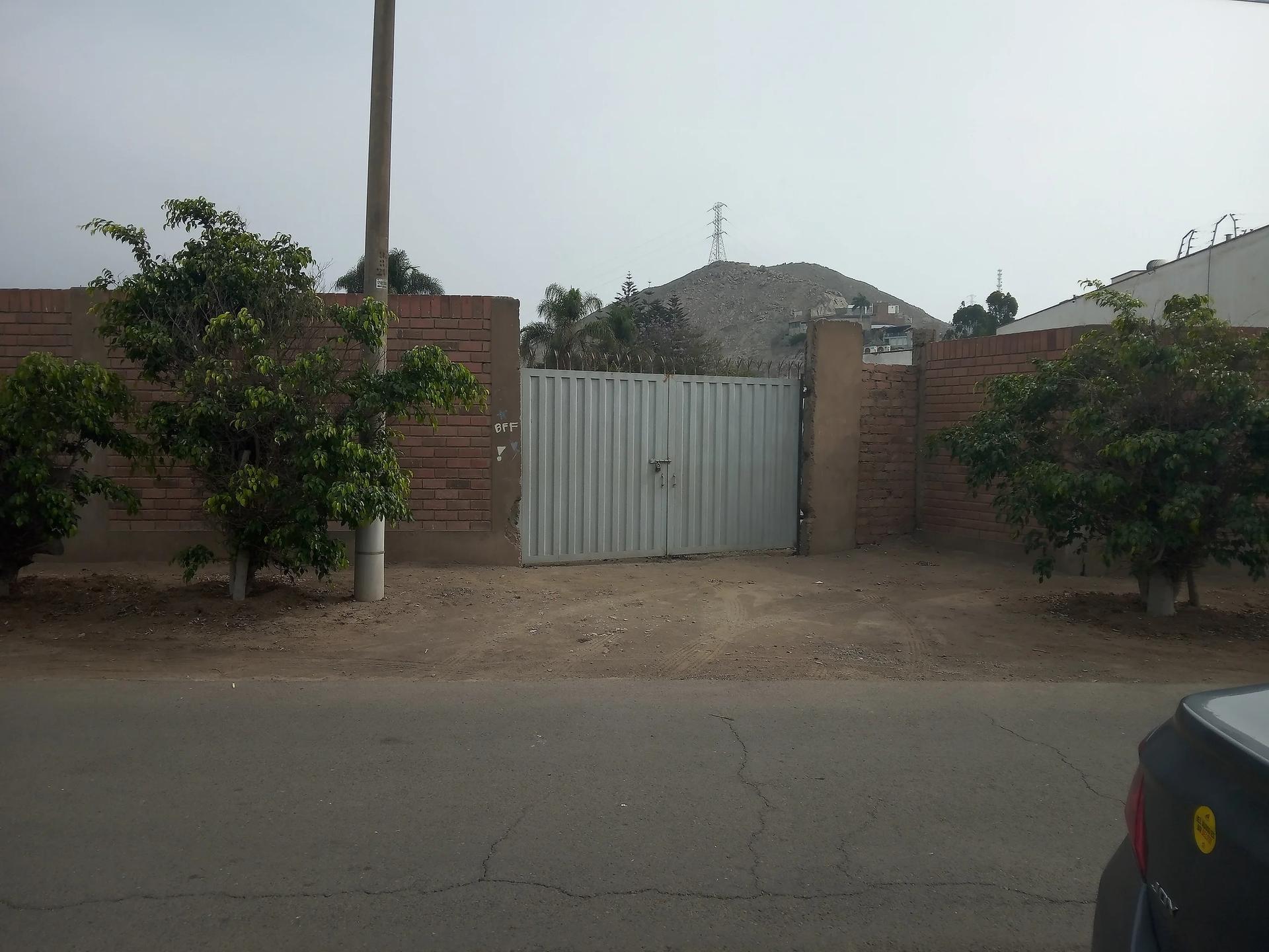 Imagen 29