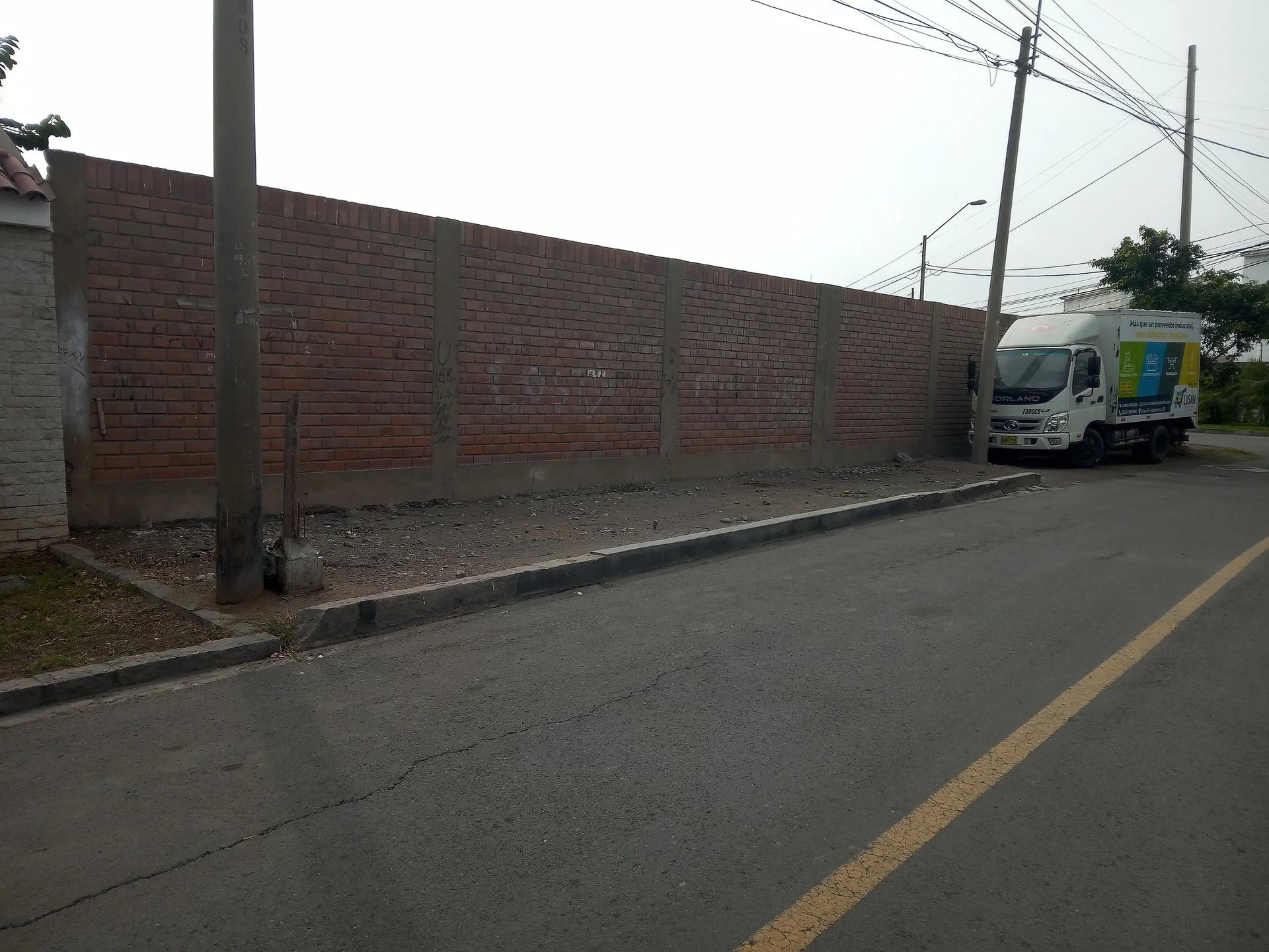 Imagen 24