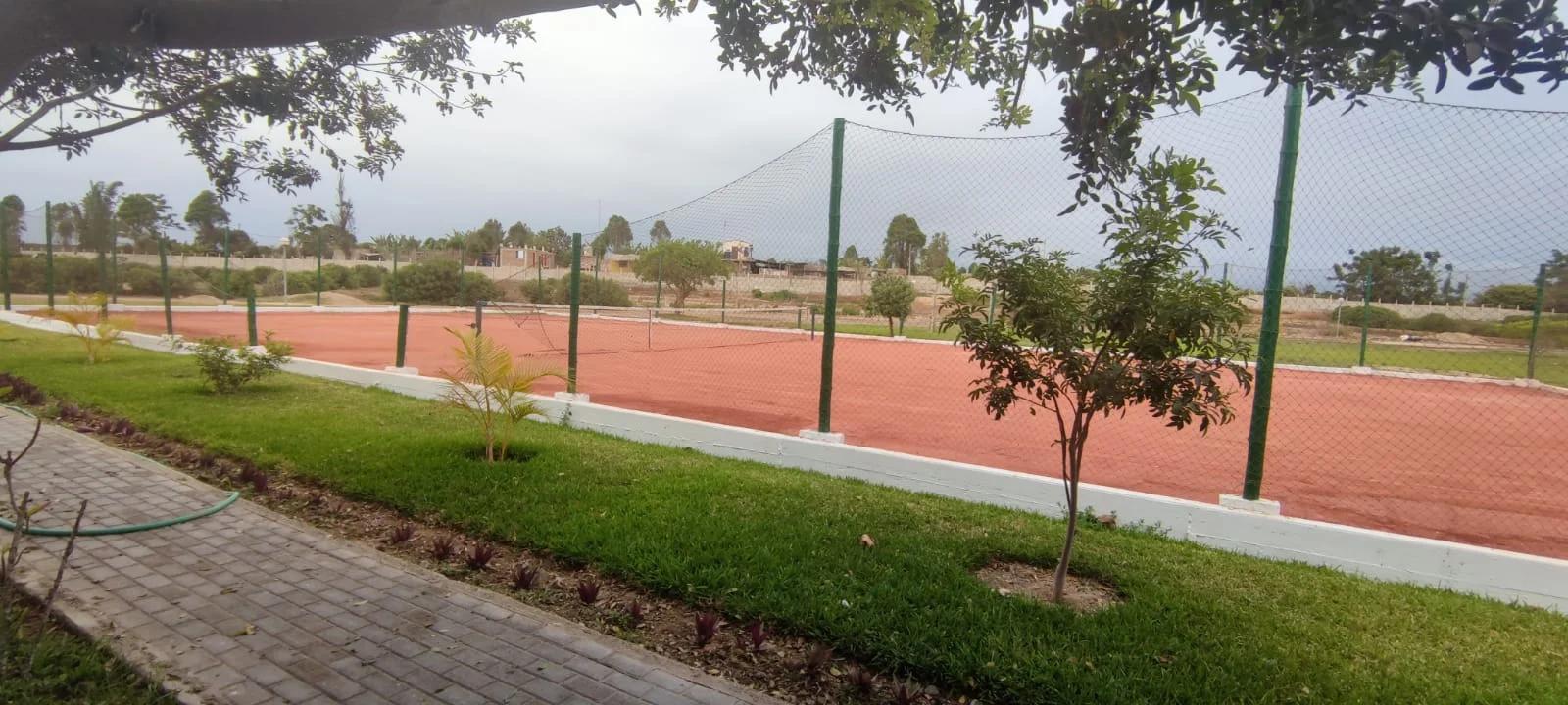 Imagen 13